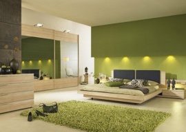 комната стены в зеленом цвете