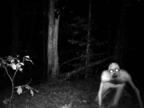 Yeti1.jpg