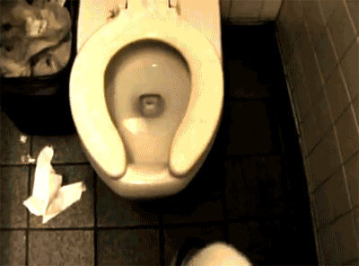 Toilet spider.gif
