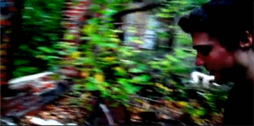 The Rake gifka.gif