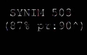 SYNIM 503.jpg