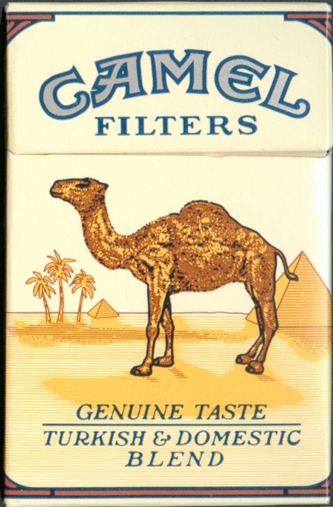 Camel.jpg