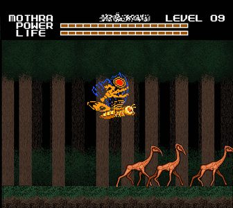 Forest2.png