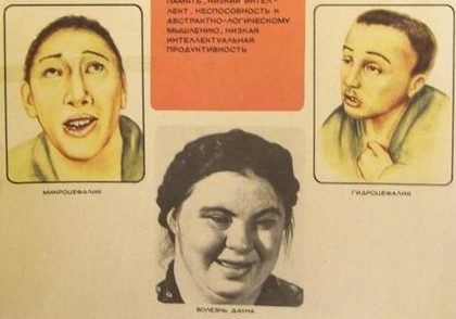 Виды дебилов.jpg