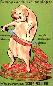 Retrota pig.jpg