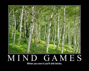 Mindfuck (7).jpg