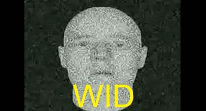 WID.jpg
