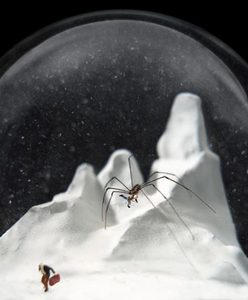 SCP-251 2001.jpg