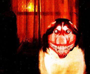 Smiledog scull.jpg