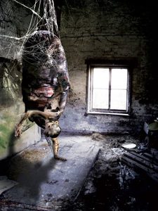Kokon (3).jpg