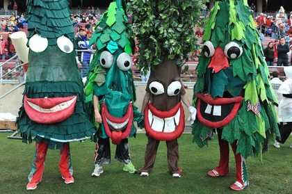 Standfordtree.jpg