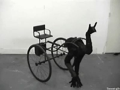 HEX (1).gif