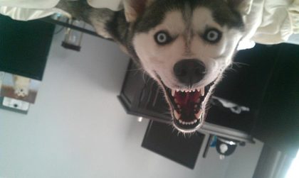 Smile.jpg