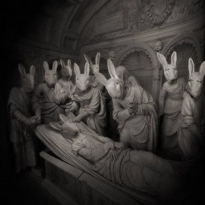 Rabbits (1).jpg