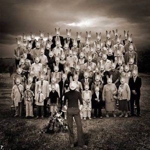 Rabbits.jpg