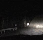 Nogi 2.gif