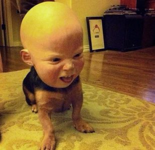 Dogchild.jpg