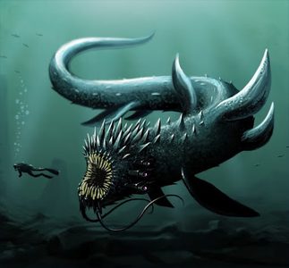 Underwater 4.jpg