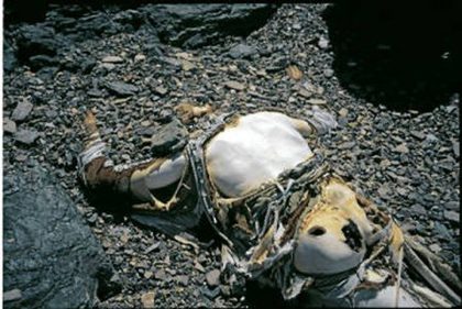 Everest-corpse Mallory.jpg