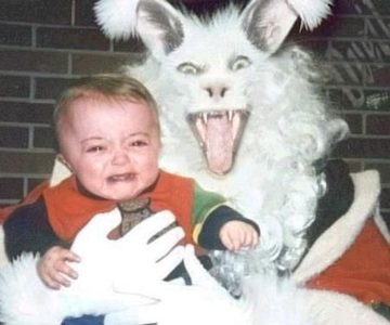 Rabbitphoto.jpg