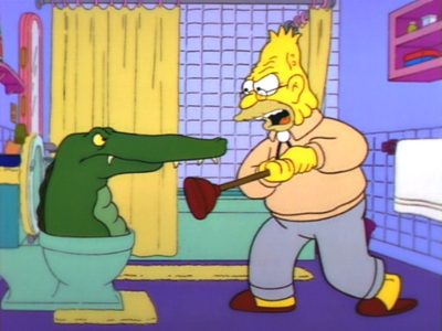 Simpgator.jpg