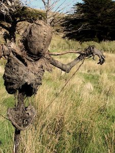 Creepy scarecrow.jpg