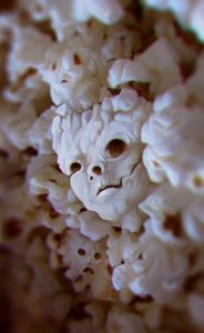 Pop-corn.jpeg