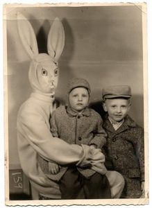 Rabbitphoto (3).jpg